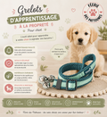 🔔 Coachi Puppy & Mini – Grelots d’Apprentissage à la Propreté
