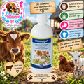💧🟡 Agrochemica Vitamulgol Liquide – Concentré vitaminique 500 ml