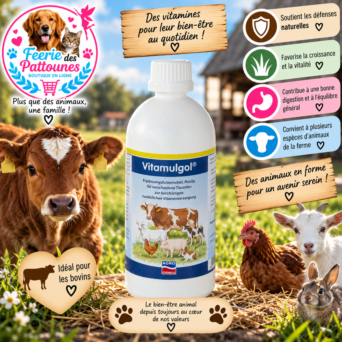 💧🟡 Agrochemica Vitamulgol Liquide – Concentré vitaminique 500 ml