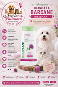 ❄️🌿 Shampooing Blanc à la Bardane & Thuya – IdealPlant (250 ml • 5 L)