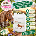 🌾🐴 Waldhausen – Huile de Lin pour Chevaux (2,5 L)
