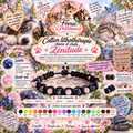 🐶🐱💙 Collier Lithothérapie – “Zénitude”