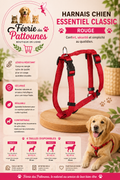 🔴🐶 Harnais Essentiel Classic – Rouge (Tailles 1 • 2 • 3 • 4)