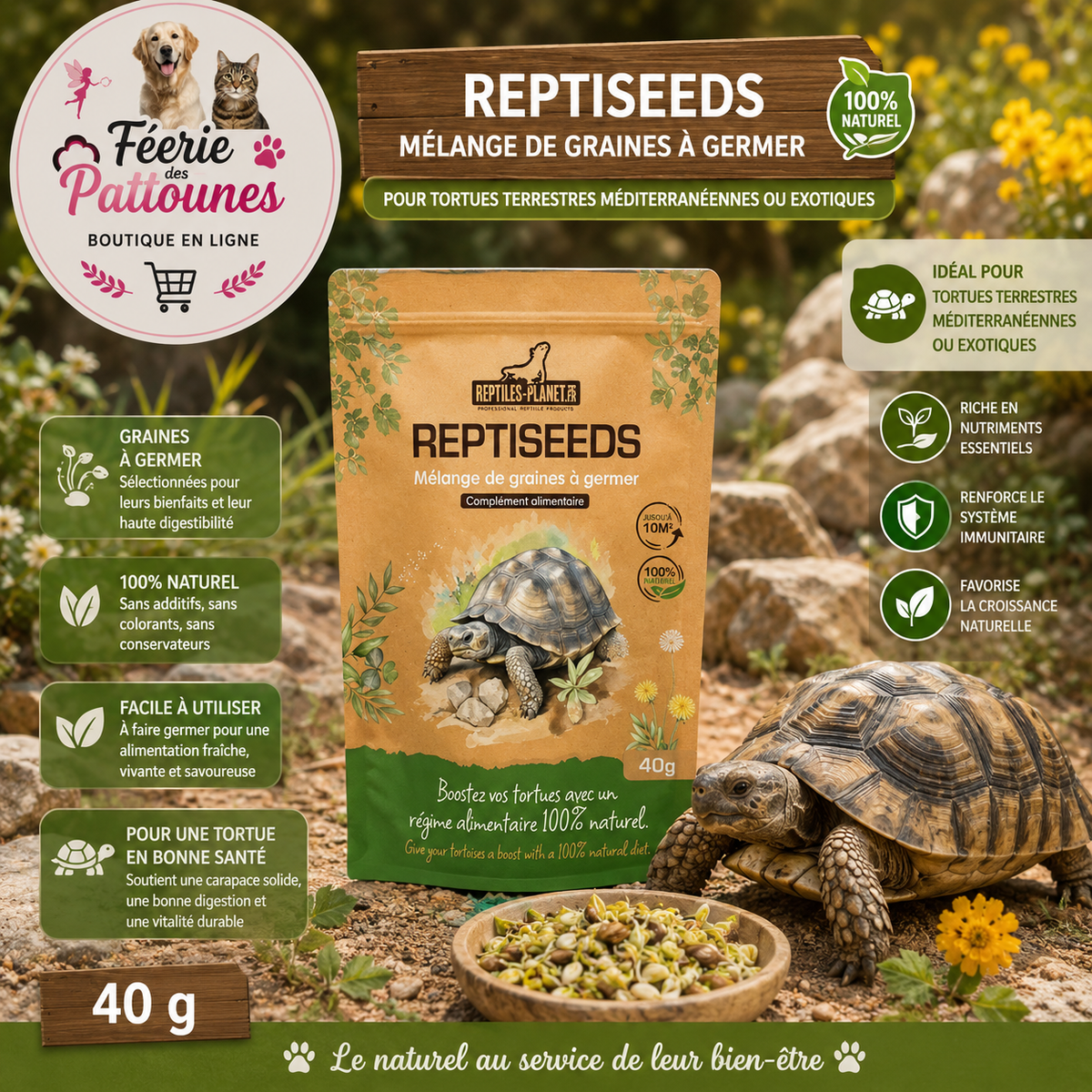🌱🐢 Reptiseeds – Mélange de Graines à Germer pour Tortues Terrestres (40 g)