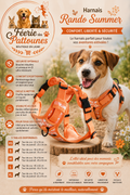 🟧🐶 Harnais Rando Summer – Orange (Tailles XS • S • M • L • XL)