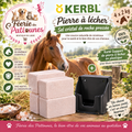 🧂🐴 Kerbl – Pierre à Lécher en Sel de Cristal de Roche Pressée (4 × 2 kg) + Support Plastique