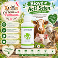 ⚡🌾 Biové – Acti Selen – Solution Orale – 125 ml