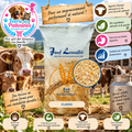 🐄💪 Leimüller – Aliment pour l’Engraissement des Bovins (25 kg)