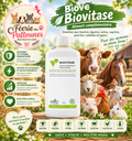 🌾💧 Biové – Biovitase – 1 L