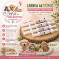 💧🐾 Labbea Algicroc – 4 x 15 ml