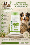 🌊 Shampooing aux Algues Marines – IdealPlant (250 ml • 5 L)