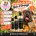 🌿🍊 Parfum de Luxe Morgan – Bois d’Orange (60 ml • 250 ml • 1 L)