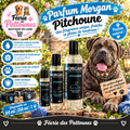 🌺✨ Parfum Morgan – Pitchoune (60 ml • 250 ml • 1 L)