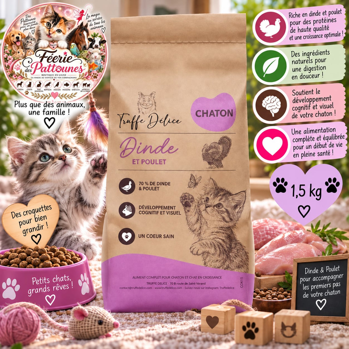 🐾🐱 Croquettes Chaton – Dinde & Poulet