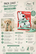 🐾 Pack Chiot Red Dingo – Vert Pastel (Collier + Harnais + Laisse)