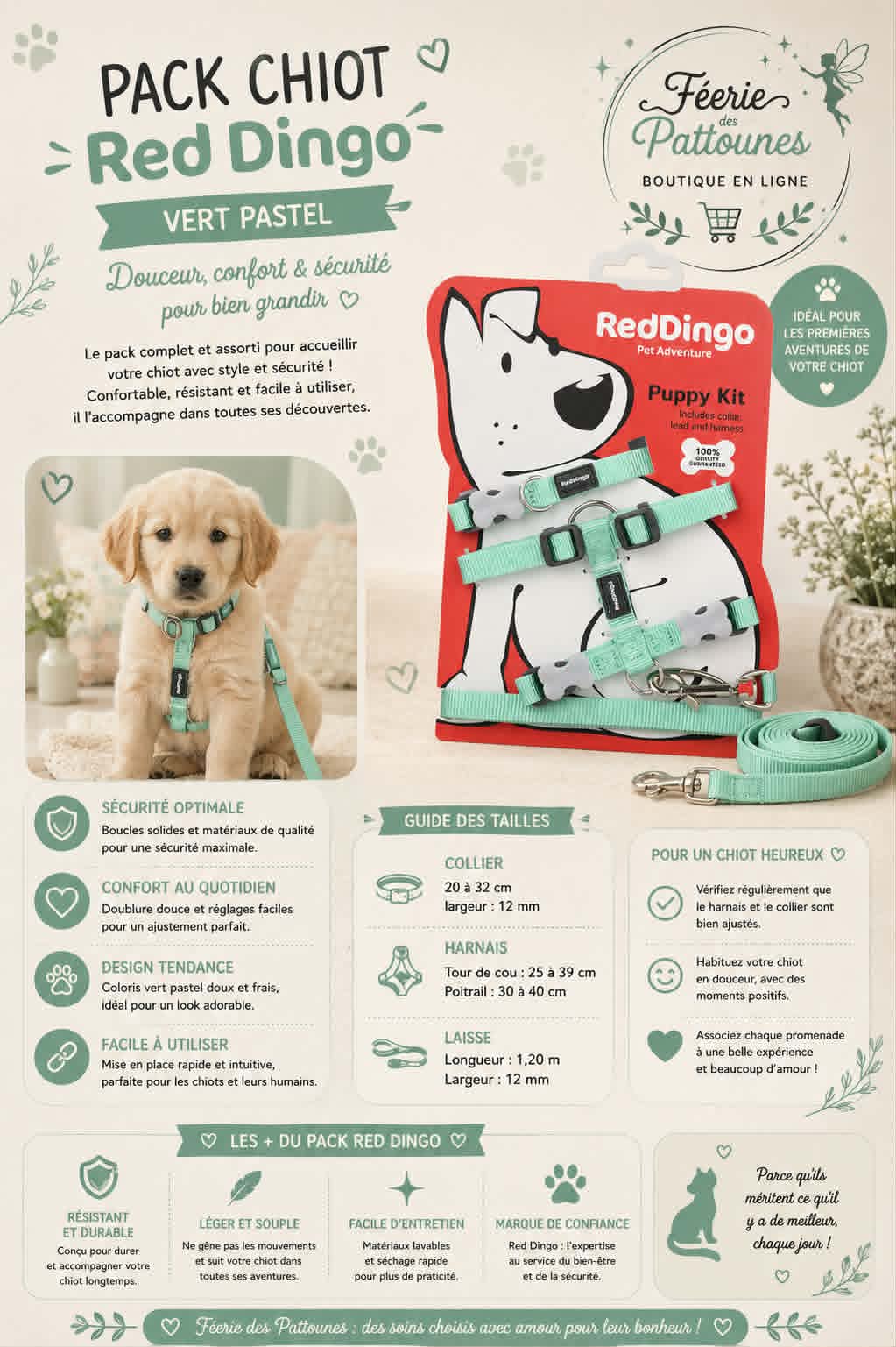 🐾 Pack Chiot Red Dingo – Vert Pastel (Collier + Harnais + Laisse)