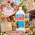 🐴 Saniterpen Box & Van Désinfectant Odorisant – 1 L