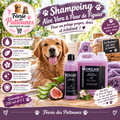 🐾🌿 Shampoing Morgan – Aloe Vera & Fleur de Figuier (250 ml • 5 L)