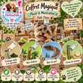 🐶🎁 Coffret Magique – Plaisir & Mastication Petit Chien