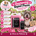 🐾🛡️ Shampoing Morgan – Repul’Puces (1 L • 5 L)