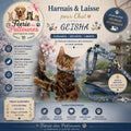 💙🎎 Harnais & Laisse Geisha Bleu – Bobby (Chat)