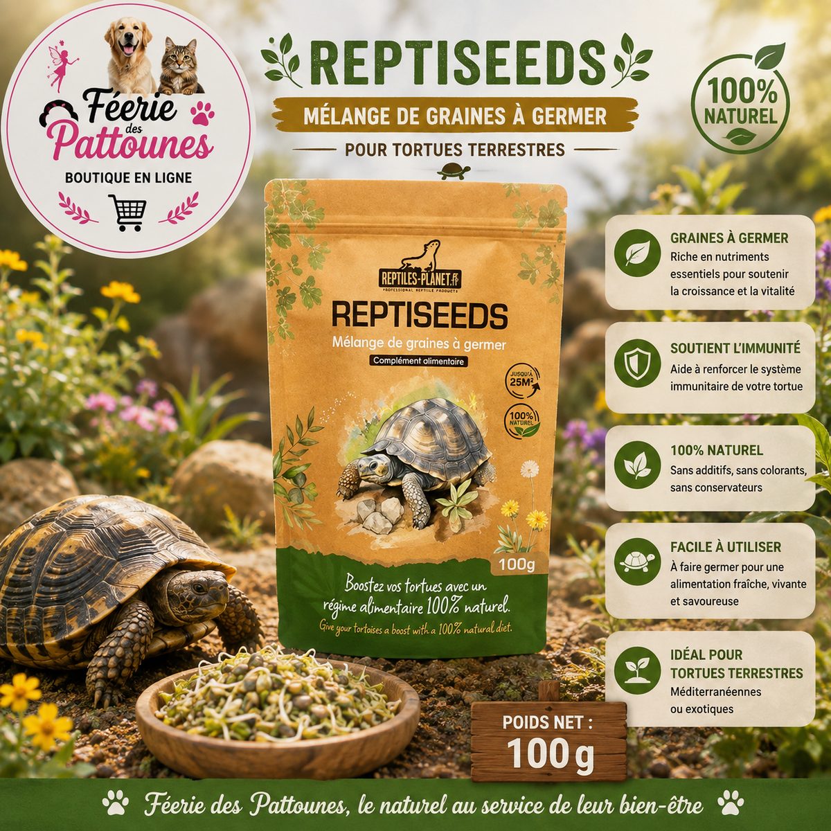🌿🐢 Reptiseeds – Mélange de Graines à Germer pour Tortues Terrestres – 100 g