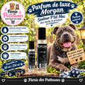 🌲✨ Parfum Morgan – Senteur P’tit Mec (60 ml • 250 ml)