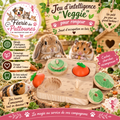 🧠🥕 Jeu d’Intelligence “Veggie” pour Rongeurs – Bois (18,5 × 15,5 × 6 cm)