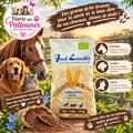 🌰🐴🐶🐱 Leimüller – Graines de Lin Brunes (1 kg • 5 kg • 25 kg)