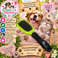 🐾 Brosse Pneumatique à Picots Perlés – Tailles S & L