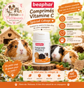 🍊🐹 Comprimés de Vitamine C – Cobaye – 100 comprimés