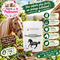 🐴✨ Waldhausen – Biotin Forte Cheval (1 kg)