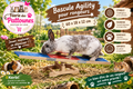 🪵🐇 Kerbl – Bascule Agility pour Rongeurs (60 × 18 × 12 cm)