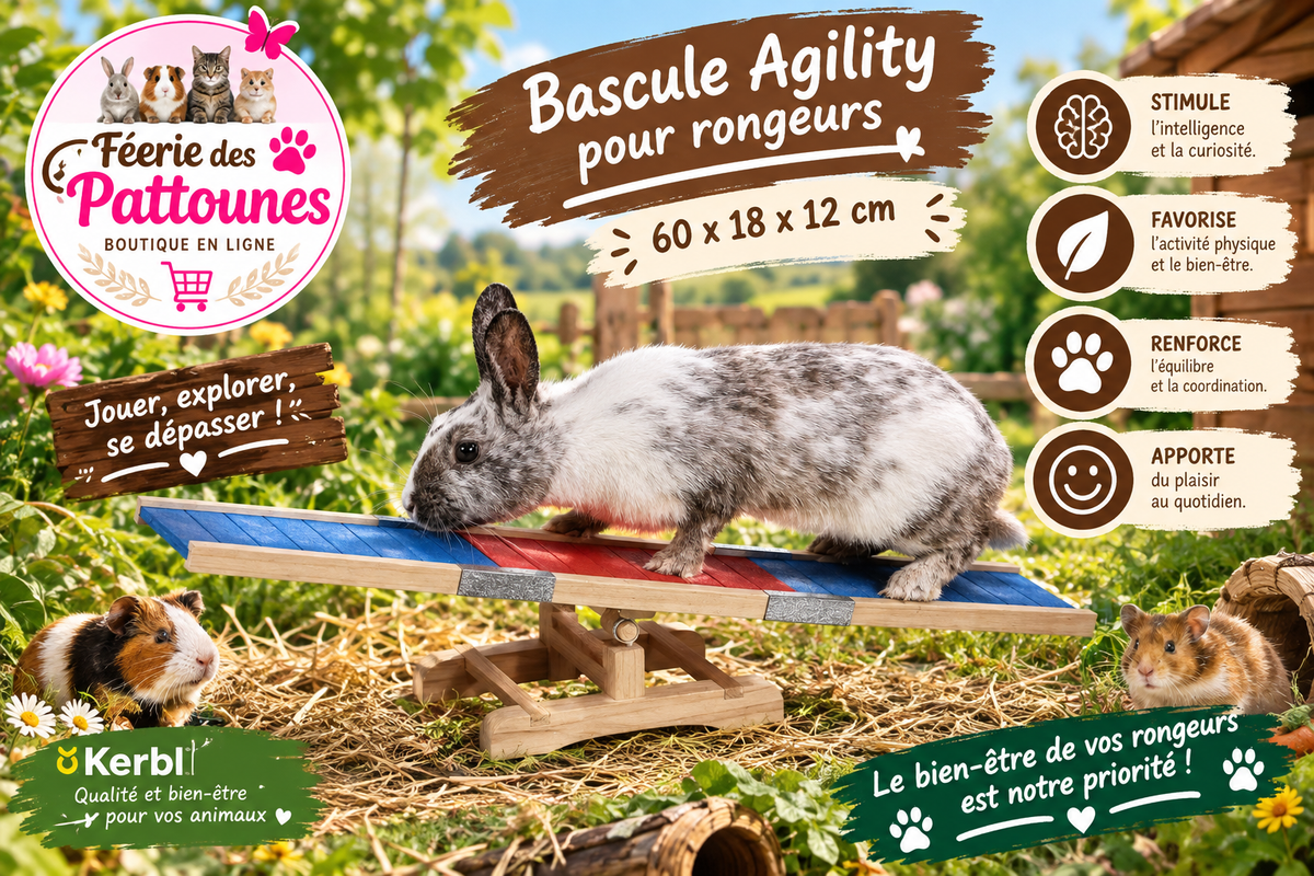 🪵🐇 Kerbl – Bascule Agility pour Rongeurs (60 × 18 × 12 cm)