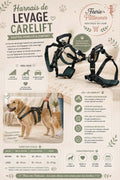 🐾 Harnais de Levage Arrière CareLift™ – PetSafe® (Tailles Medium & Large)