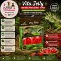 🍓🦎 Vita Jelly Red Fruit pour Lézard – 10 pcs