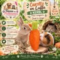 🥕🐹 Kerbl – Carotte en Luffa pour Rongeurs (10 cm)