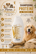 💛 Dog Génération – Shampooing Protéiné (250 ml • 1 L)