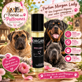 🍪✨ Parfum Morgan – Lady (60 ml • 250 ml)