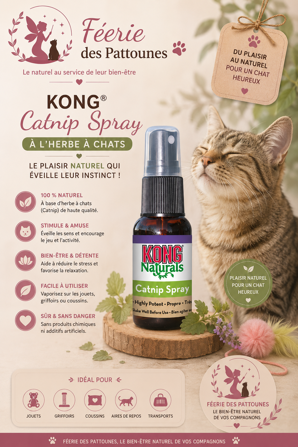 🌿 KONG® Catnip Spray – Huile Essentielle d’Herbe à Chats (30 ml)