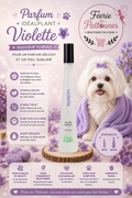 💜🌸 Parfum Violette – IdealPlant (30 ml • 500 ml)