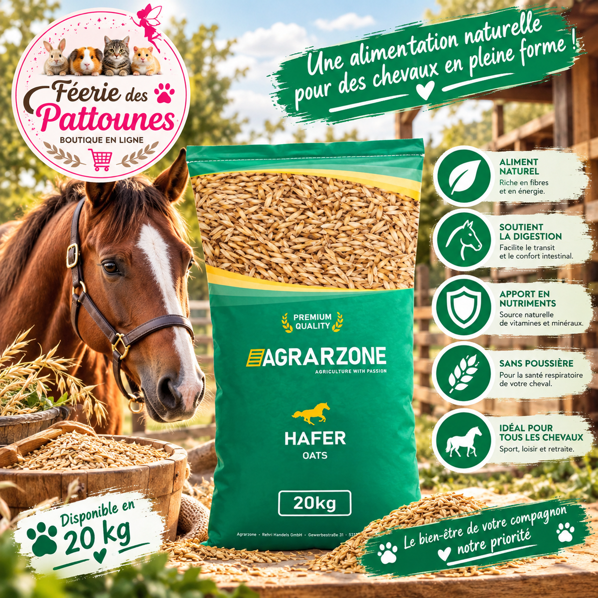 🌾🐴 Avoine Nettoyée Sans Poussière – 20 kg