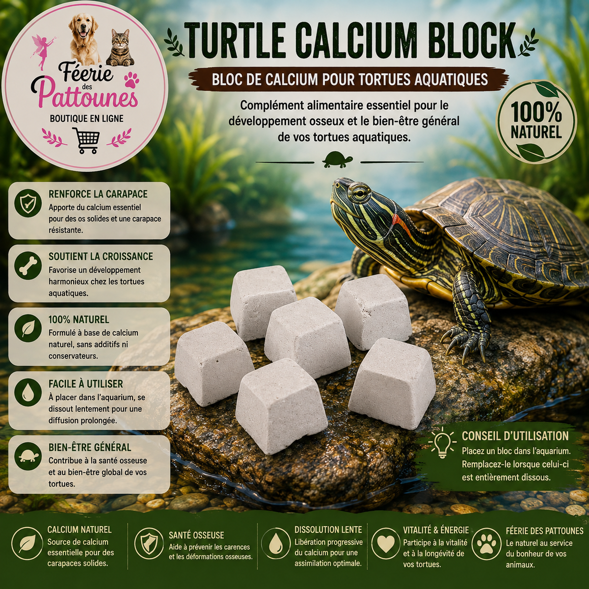 🐢💧 Turtle Calcium Block – Bloc de Calcium pour Tortues Aquatiques