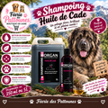 🐾🌿 Shampoing Morgan – Huile de Cade (250 ml • 5 L)