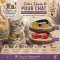 🎩🐾 Collier Dandy – Pour Chat (16 à 28 cm × 10 mm)