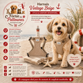 🤎👖🐶 Harnais Vintage – Beige (Tailles XS • S • M)