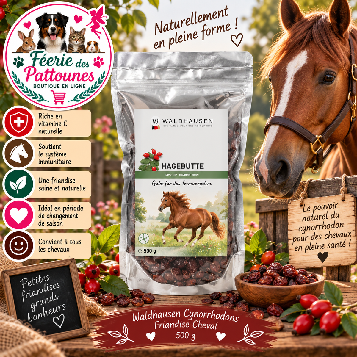 🌹🐴 Waldhausen – Cynorrhodons Séchés (500 g)