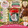 🌿🐴 leovet – Leoveties Sans Céréales pour Chevaux & Poneys (1,1 kg)