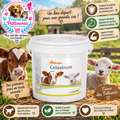 🍼✨ Globigen Colostrum – Immunoglobulines naturelles pour un bon départ
