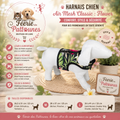 🌼🐶 Harnais Air Mesh Classic – Flower (Tailles S • M • L)
